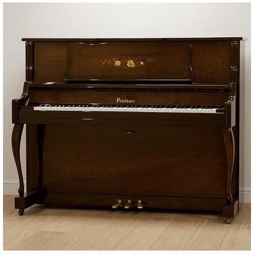 PRUTHNER MPY500S