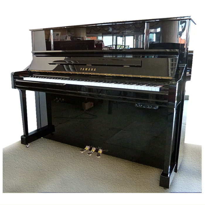 YAMAHA YU10SG